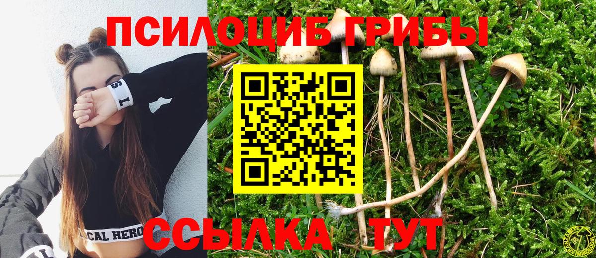 Петрозаводск  Галлюциногенные грибы мухоморы  где купить наркоту  Вход с VPN 